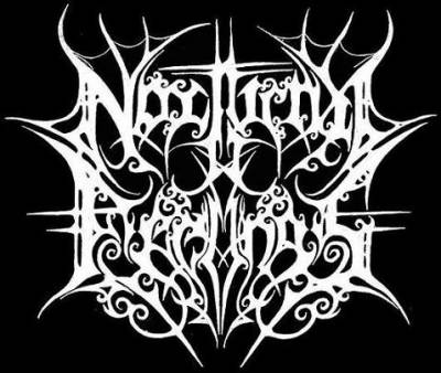 logo Nocturnal Feelings